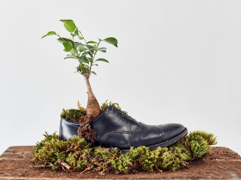 Allen Edmonds shoes growing life and going the distance.