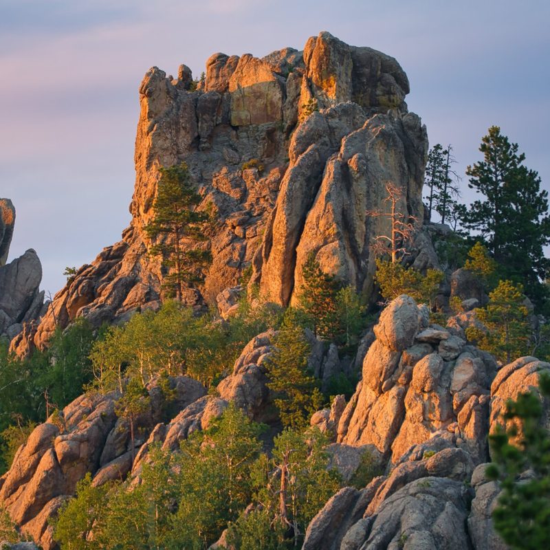 A view of South Dakota's Black Hills at Custer State Park