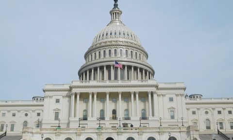 The U.S. Capitol in Washington, D.C.