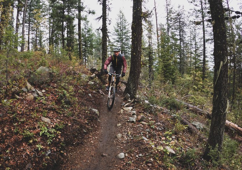 A man bikes through the woods on a single track trail