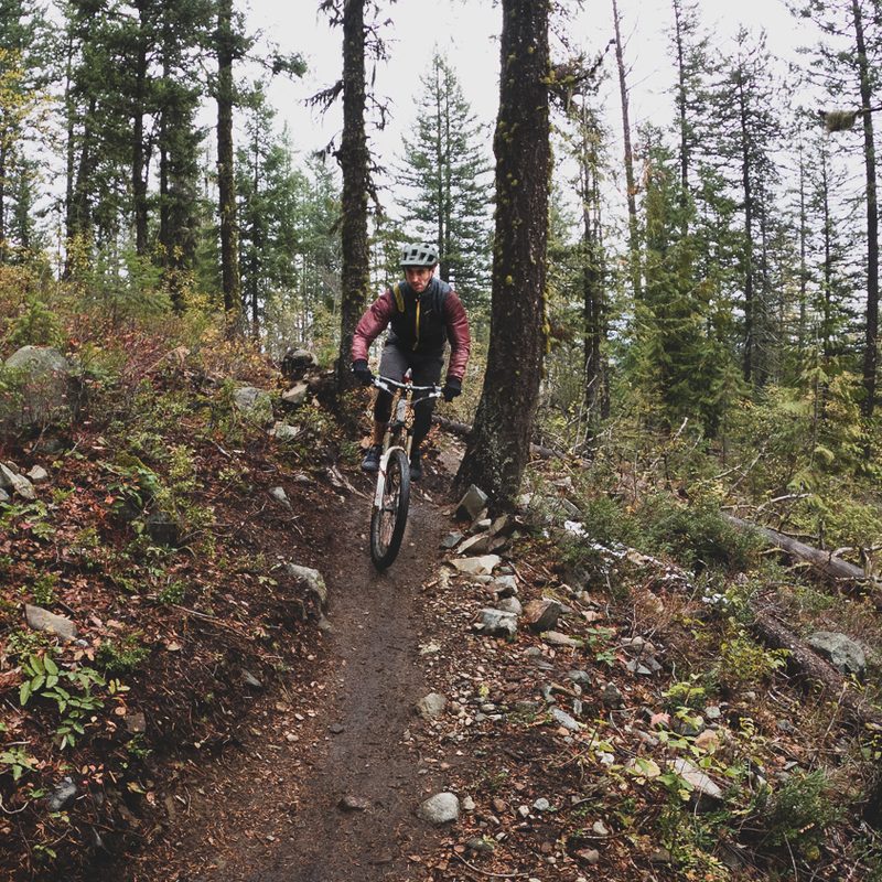 A man bikes through the woods on a single track trail