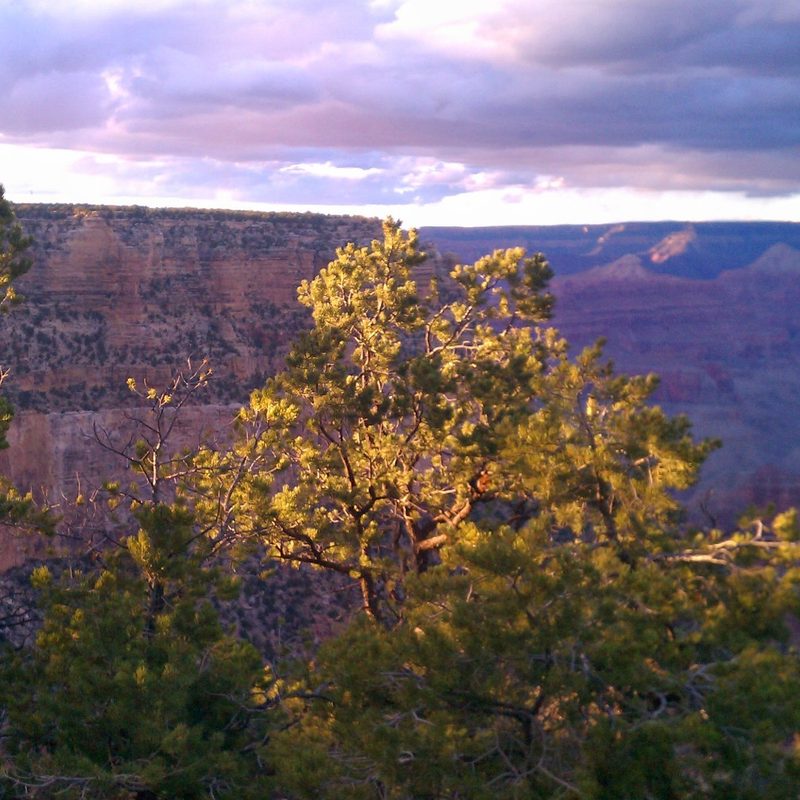 The South Rim of the Grand Canyon (Arizona).
