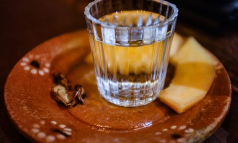 Mezcal from the Sierra Norte de Puebla served with cantaloupe and grasshoppers