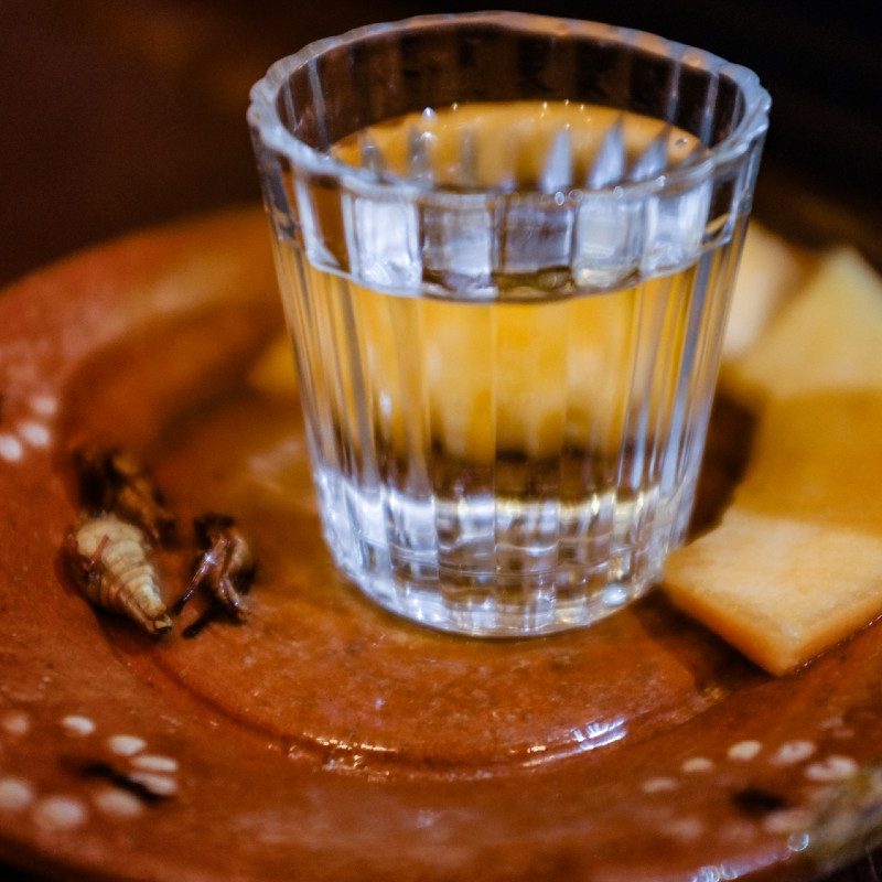 Mezcal from the Sierra Norte de Puebla served with cantaloupe and grasshoppers