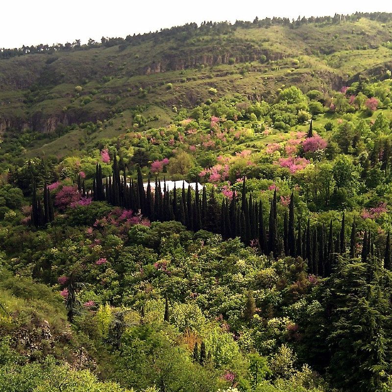 Tbilisi's National Botanical Garden of Georgia in Tbilisi is concealed from view as it resides among the hills of the Sololaki Range