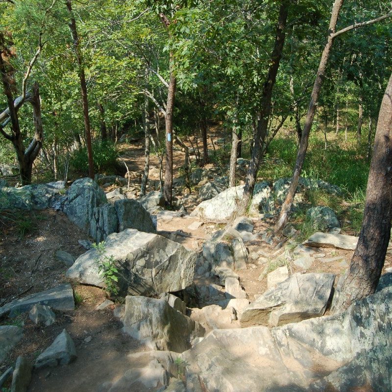 The Billy Goat Trail leading back down to the Great Falls