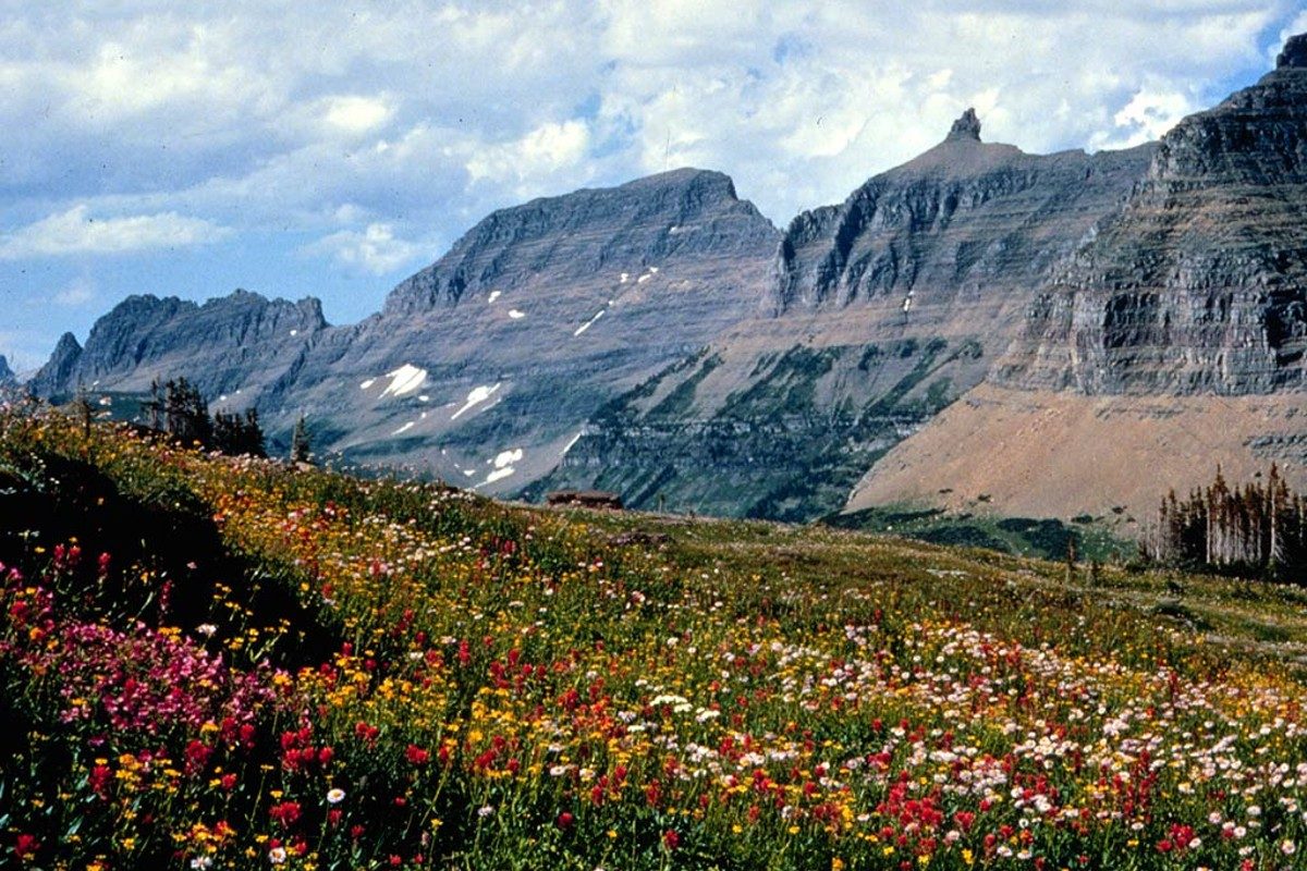 The Garden Wall along the Highline Trail in Glacier National Park.