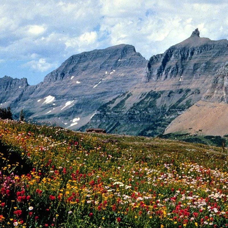 The Garden Wall along the Highline Trail in Glacier National Park.