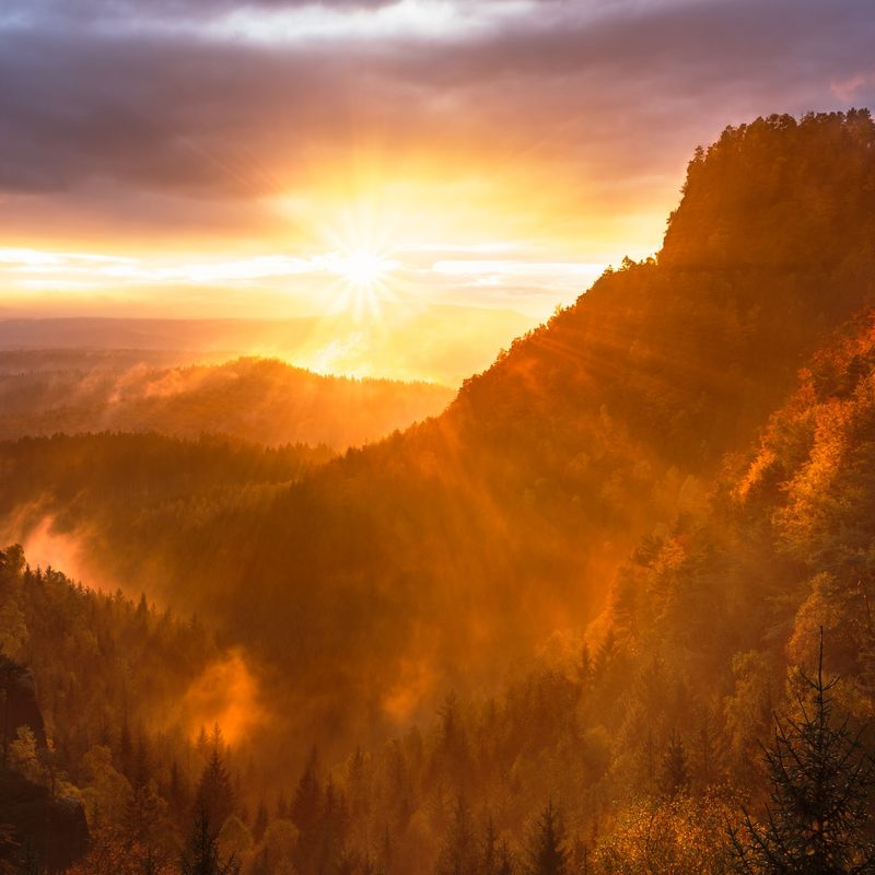 Sunrise over forests and mountains