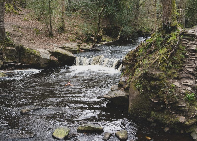 Water running down a river in the woods.