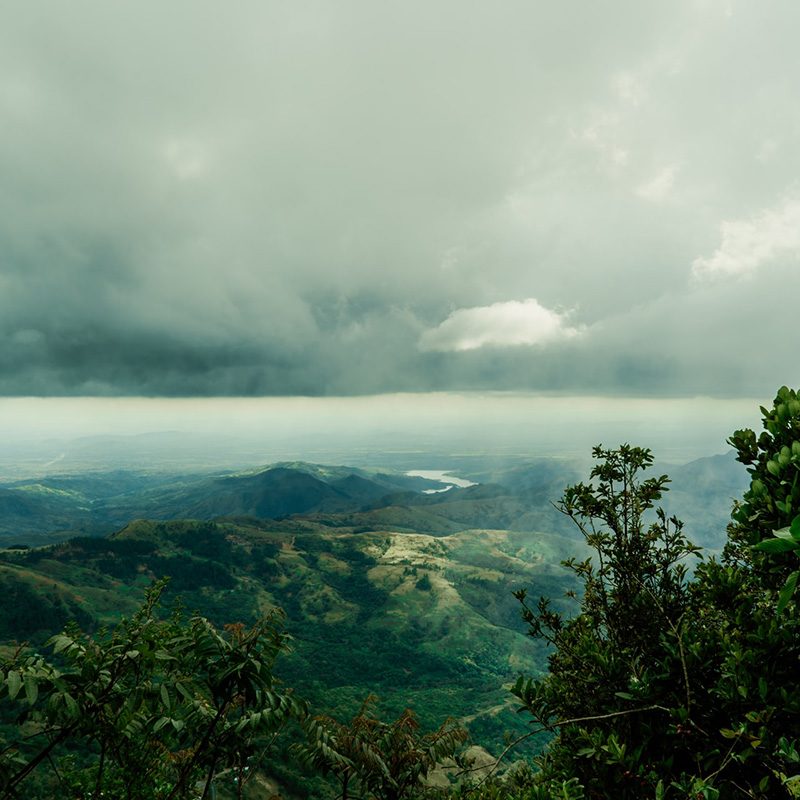 Panorama of a dense jungle mountain landscape in Panama.