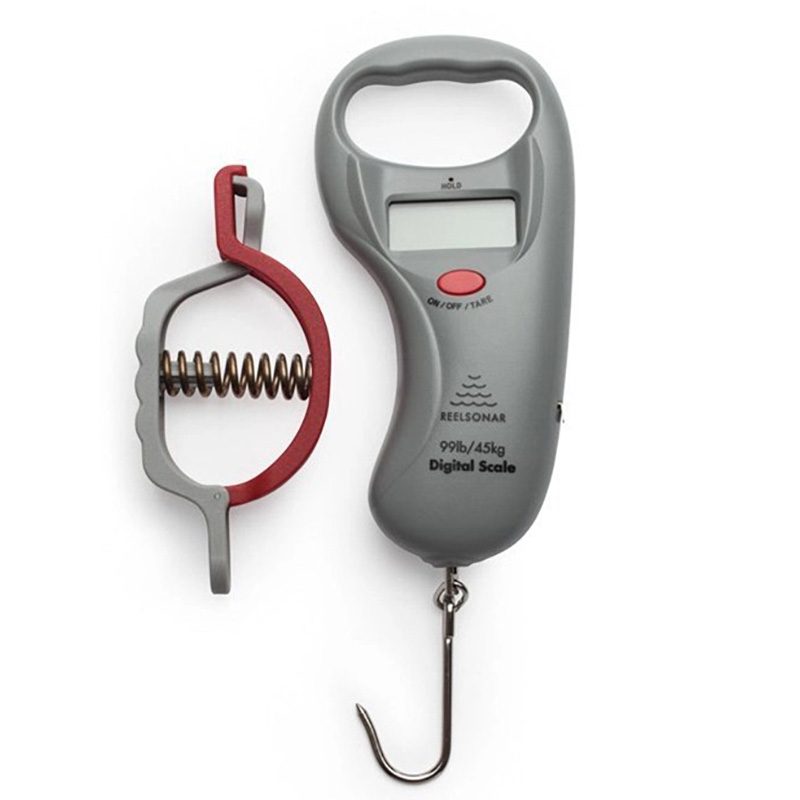 ReelSonar Fishing Scale on a white studio background.