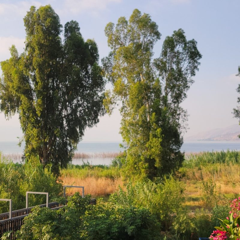 The outdoor garden (with views of the Sea of Galilee) at Nof Ginosar Hotel in Israel's Galilee region.