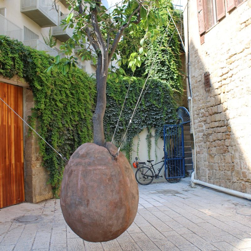 The Suspended Orange Tree in Old Jaffa/Tel Aviv (Israel).