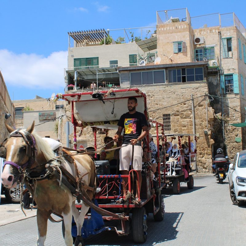 A man drives a horse-drawn carriage in Old Akko (Israel).