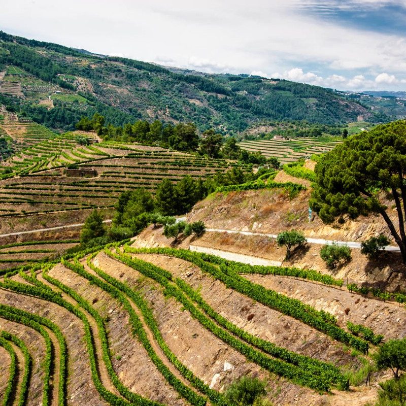 Douro