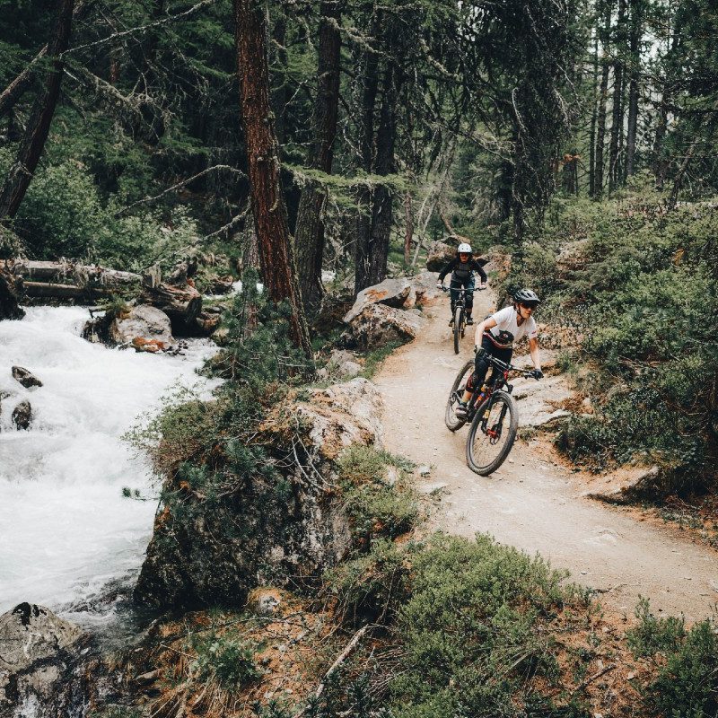 Mountain bikers in action