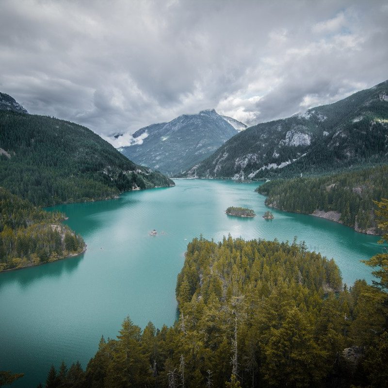 The Pacific Northwest.