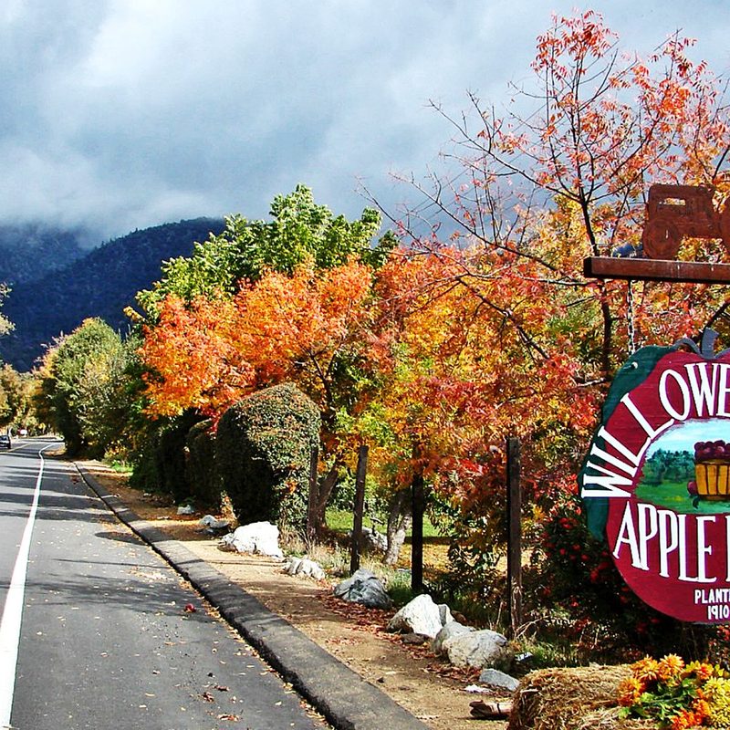 A stormy fall day in Oak Glen, California (in the San Bernardino Mountains).