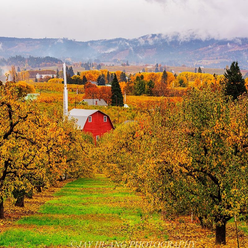 A full display of autumn colors in Hood River, Oregon.