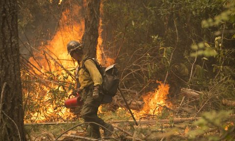 A wildland firefighter works on putting out flames.