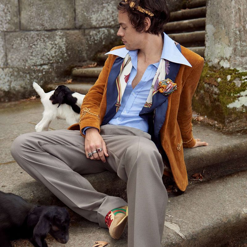 Harry Styles sitting with baby goats