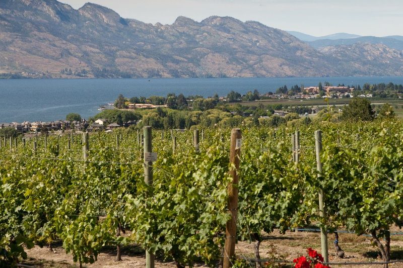 A scene from the Okanagan Valley.