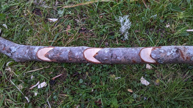 Three notches carved into a stick