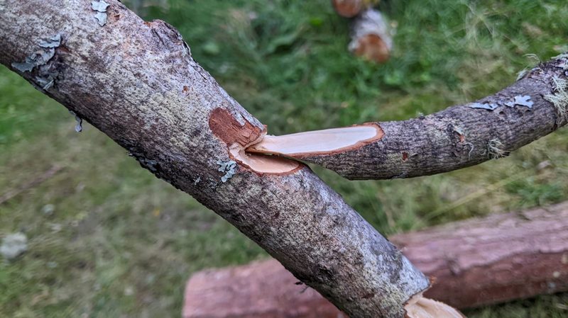 A flattened end of a stick slots into a pre-carved groove on another as part of a pot hanging system