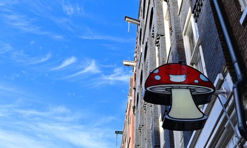 A smart shop in Amsterdam