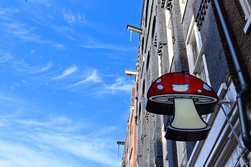 A smart shop in Amsterdam.