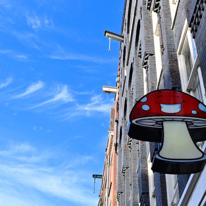 A mushroom shop in Amsterdam.
