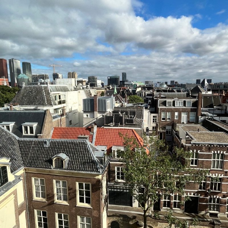 The rooftops of The Hague