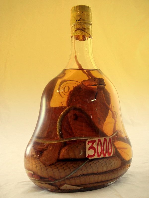 Bottle of snake wine
