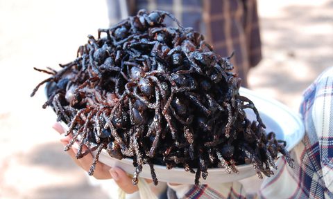 Fried tarantulas
