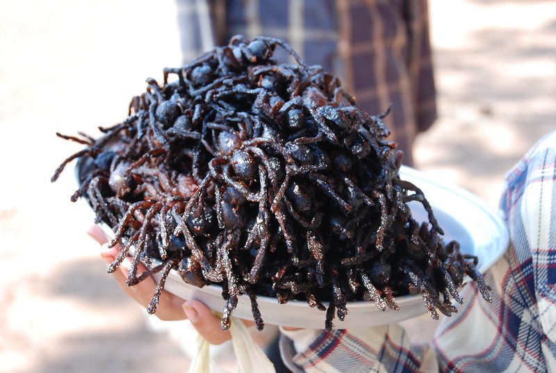 Fried tarantulas