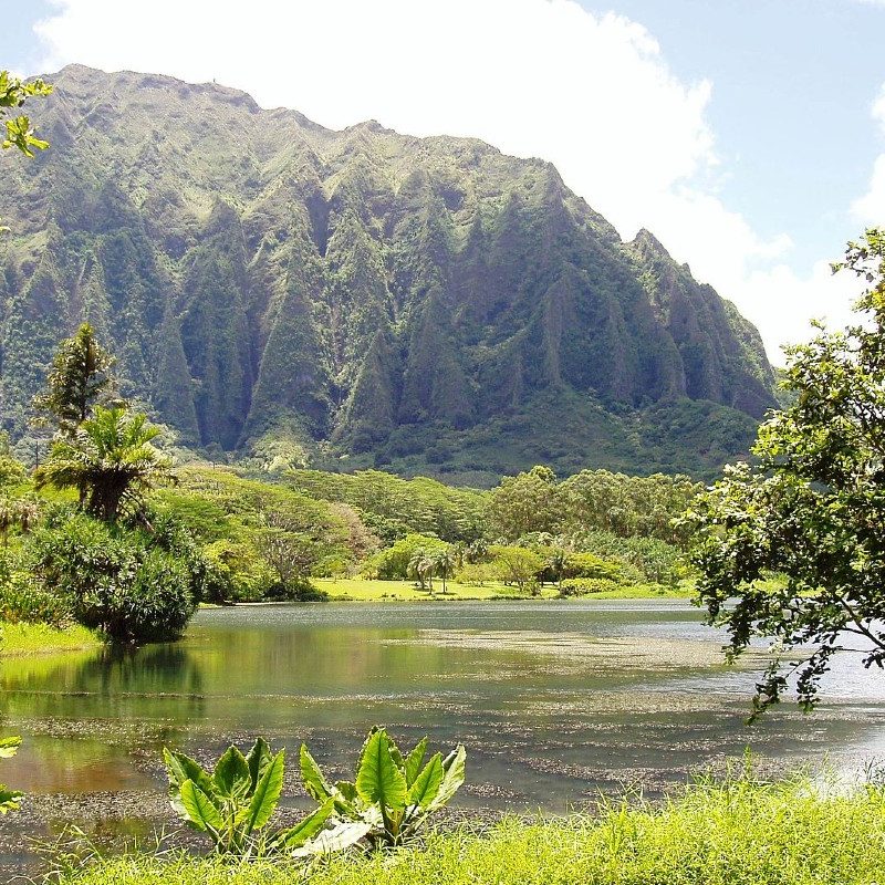 Ho'omaluhia Botanical Garden.