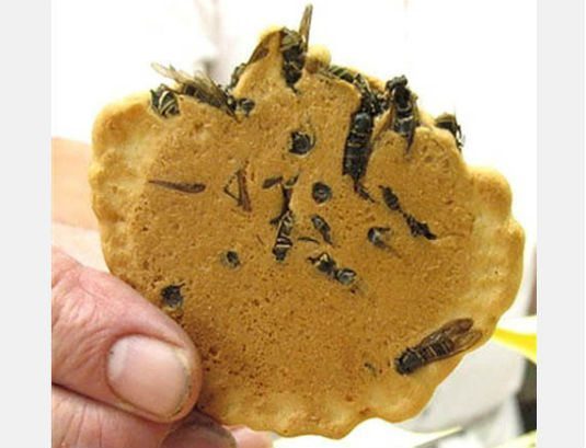 Wasp crackers