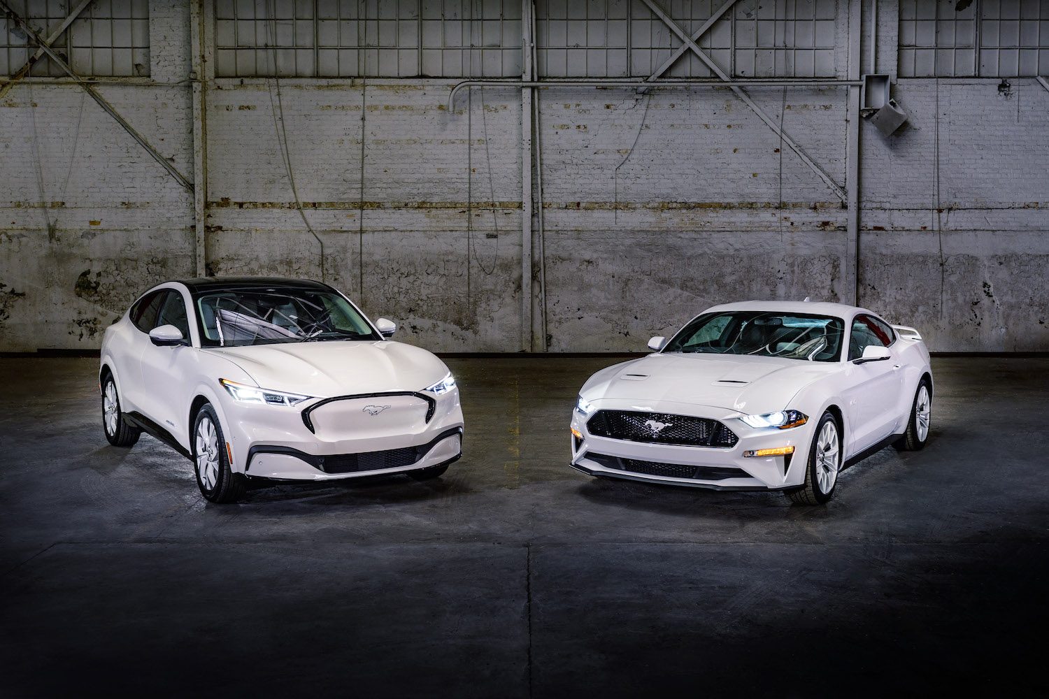 2022 Ford Mustang Mach-e and Mustang in an empty warehouse.