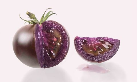 what to know about purple tomatoes 306474509 8095292573877031 5395651914688981461 n