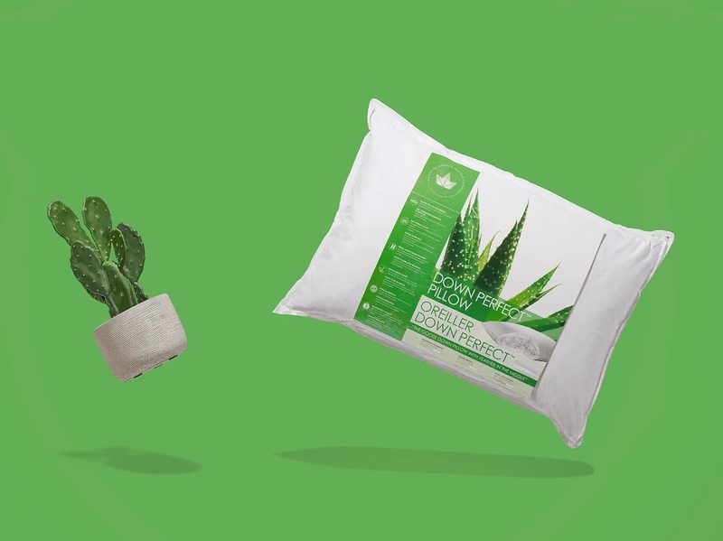 Canadian Down & Feather Down Perfect Pillow product image on green.