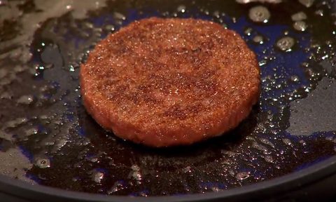First cultured hamburger being fried in 2013.