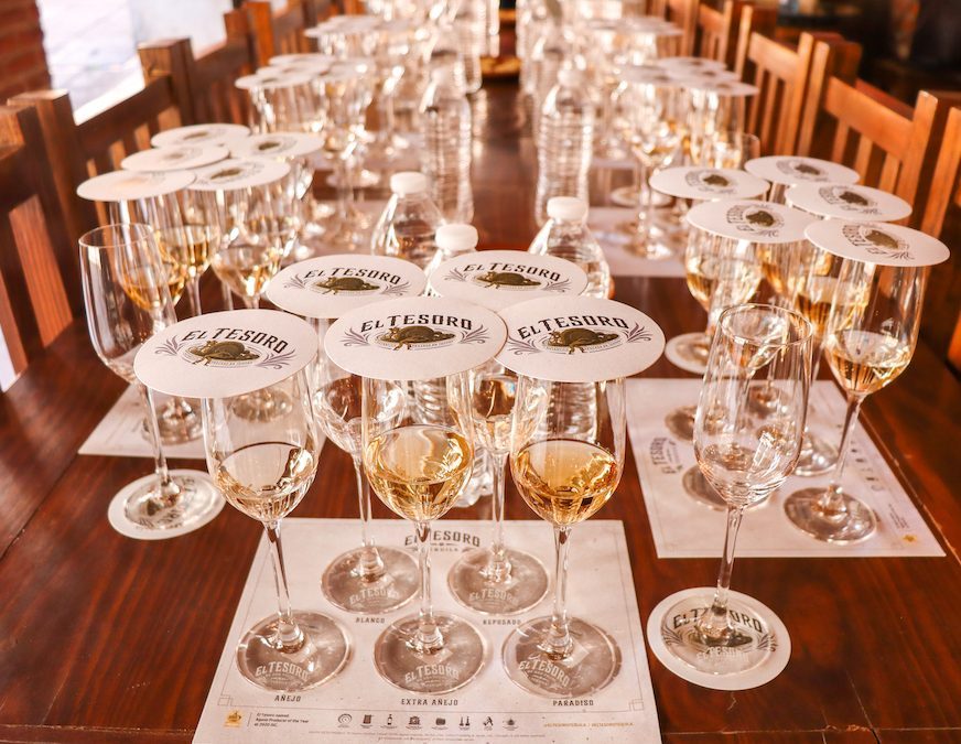 Glasses of tequila lined up for tasting