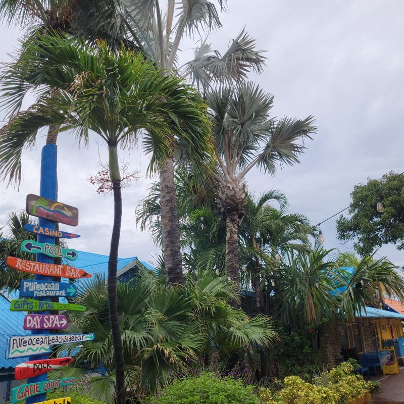 The Divi Flamingo Beach Resort in Kralendijk, Bonaire, Caribbean Netherlands.