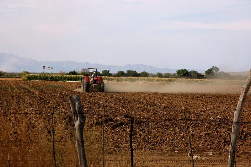 Farmer plowing a field