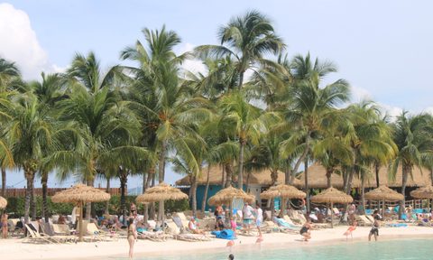 A group of flamingos roam the beach on Renaissance Island in Aruba.