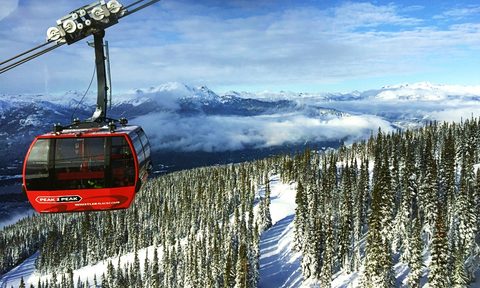 Whistler.