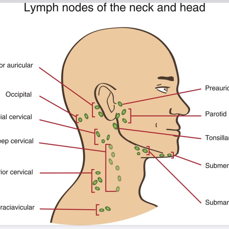 Lymphatic drainage massage diagram