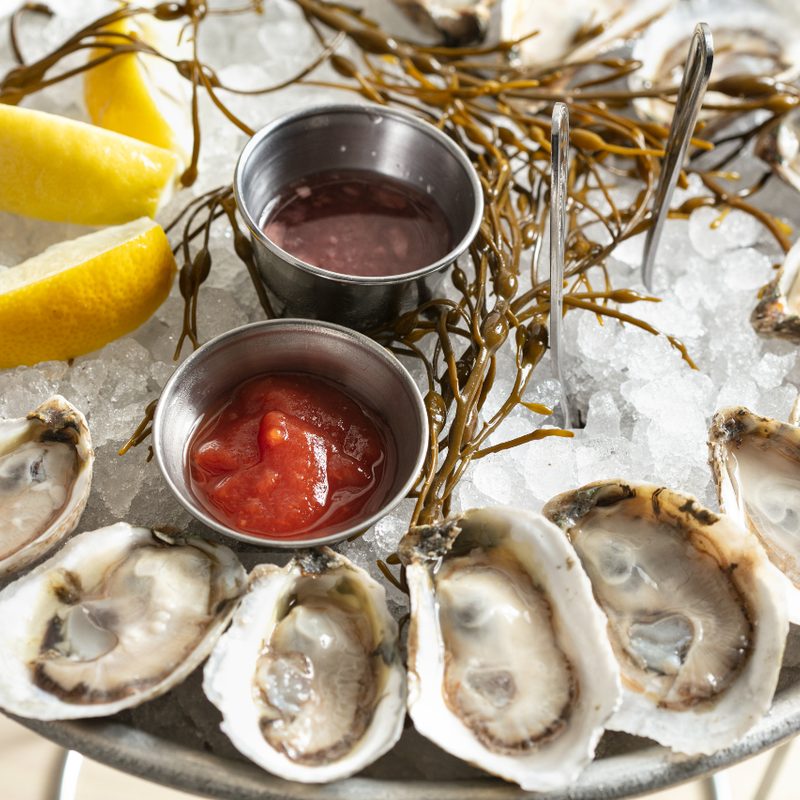 Plate of oysters on ice.
