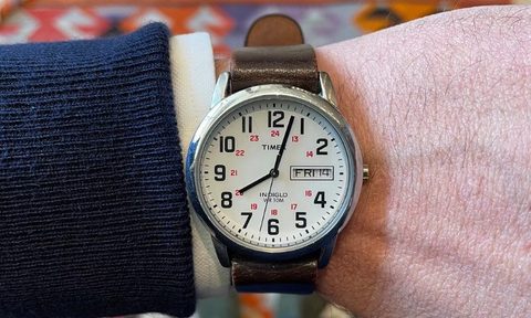 Overhead view of a Timex watch on a wrist.